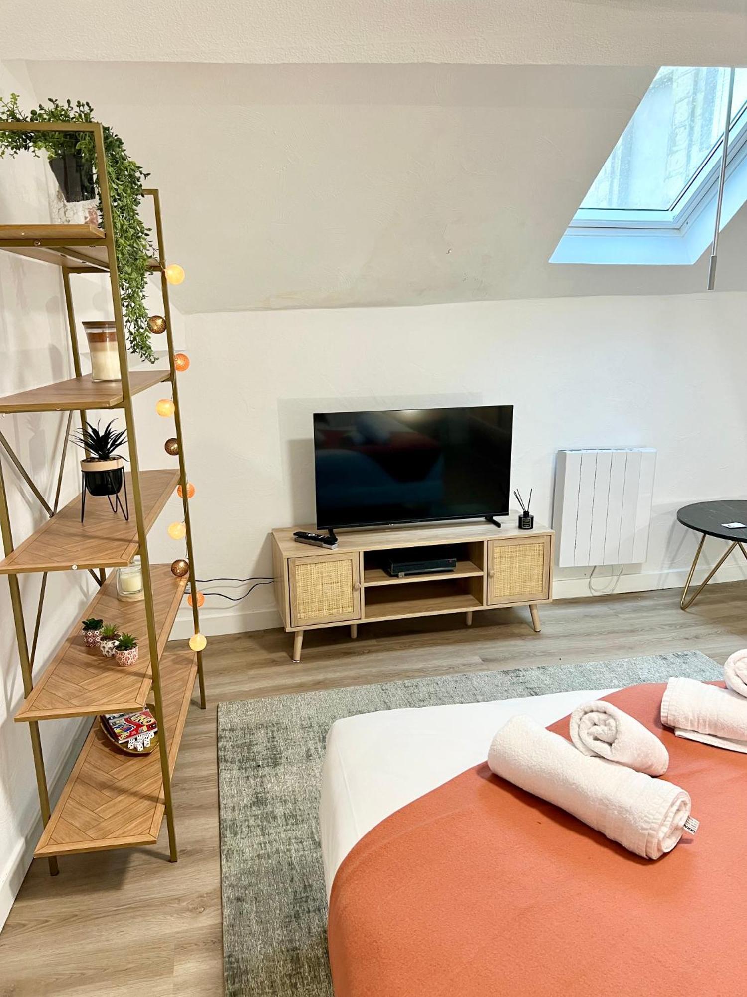 Le Nid Douillet Centre Ville 데사이즈 외부 사진